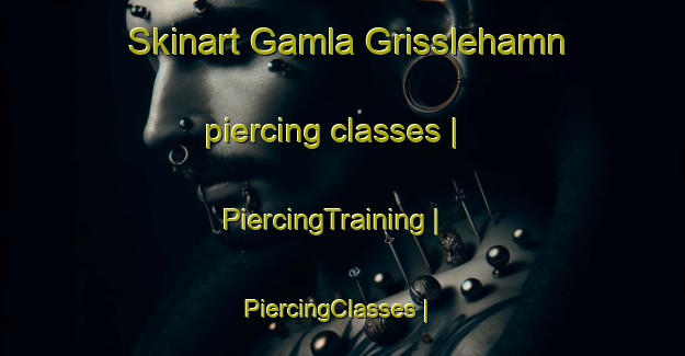 Skinart Gamla Grisslehamn piercing classes | PiercingTraining | PiercingClasses | SkinartTraining-Sweden